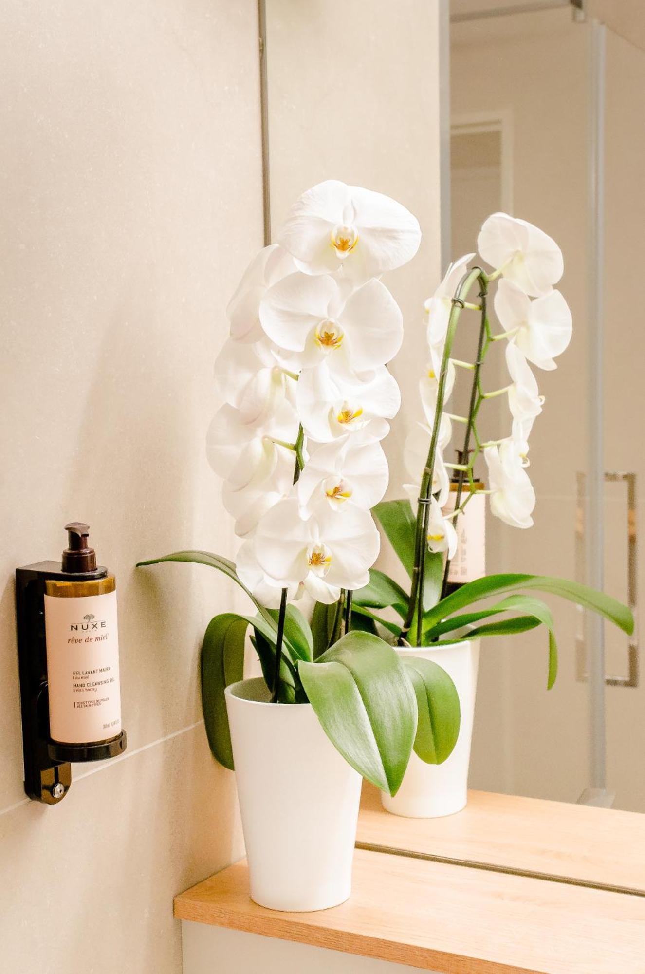 Hotel Du Parc Roissy - Parc Des Expositions 4*